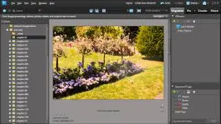 Adobe Photoshop Elements Organize Workspace Overview