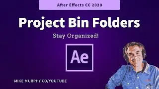 After Effects: How To Add Project Bin Folders (Organize Files)