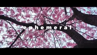 ephemeral / 物の哀れ