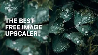 The Best FREE Image Upscaler
