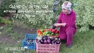 Сад мечты за три года