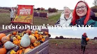 Let's Go Pumpkin Picking VLOG