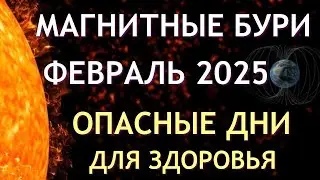 Магнитные бури в ФЕВРАЛЕ 2025. Неблагоприятные дни. Как пережить.