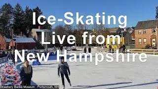 7:30pm Saturday Dec 9 - Currier & Ives Vintage Skaters LIVE!