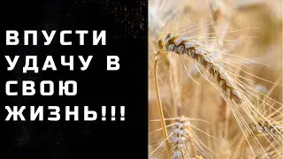 Впустить Удачу в Вашу жизнь ! Ритуал на Удачу и Деньги