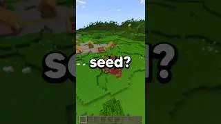 BEST BEDROCK 1.21 SEED! 
