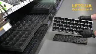 Парничок для розсади СП, 44 комірки, кас. 195х490 мм, комірки 40х40х55 мм, т.с. 0,7 мм