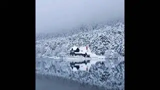 Христианская пророповедь, Войтухов Александр. 