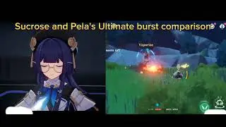 Side by Side Comparison with Pela ( Honkai Star Rail ) and Sucrose ( Genshin Impact )