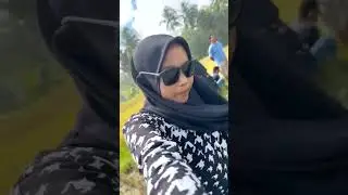 SI BOCIL PINGSAN 