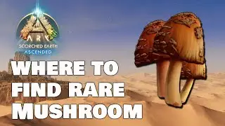 Where to find Rare Mushroom on Scorched Earth - Ark Survival Ascended.