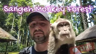 Sangeh Monkey Forest 2024 And  | Taman Mumbul Sangeh  | Pall Family