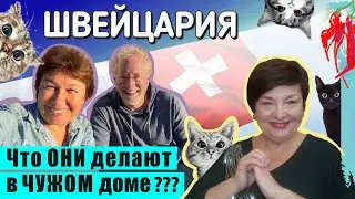 Как путешествовать даром. В Швейцарию на хауз ситтинг