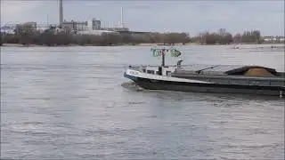 Dragi, Riva, Goblin  auf dem Rhein bei Düsseldorf