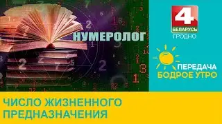 Бодрое утро. Число жизненного предназначения. 28.08.2024