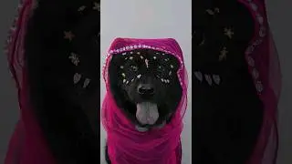 ASOKA MAKEUP VERSÃO DOG 🇮🇳🐕  