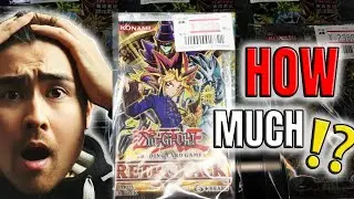The Best Cardshops in Japan! - DEAL of a LIFETIME!! (Fukuoka)