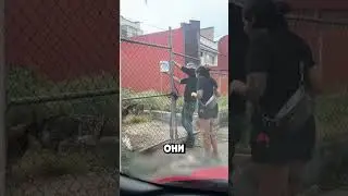 Забытый хозяином пёс не ел два дня, пока не пришла эта пара 