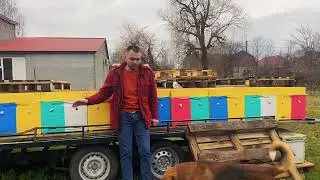 Зимовка пчёл на улице,  без потерь уже 10 лет! 5 основных знаний и всё получится !!!