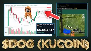$DOG Tier 1 Listing (KUCOIN) 🎉🎉 $0.0050 Target 🎯