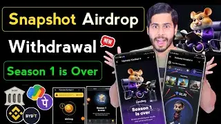 Hamster Kombat Snapshot 🥳 hamster kombat withdrawal, hamster kombat season 1 is over, hamster token