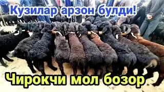Чирокчи мол бозори нархлари 29.03.2023 й