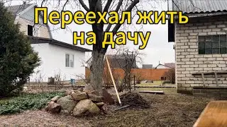 Переехал жить на дачу. Подкармливаю голубику и парюсь в баньке .