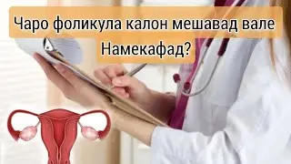 Сабабҳои накафидани фоликула, набудани овуляция? Чавоб ба саволхо 
