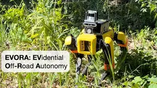 EVORA: Deep Evidential Traversability Learning for Risk-Aware Off-Road Autonomy