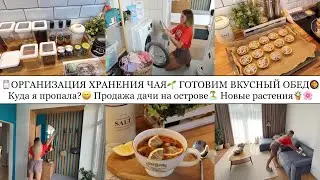 ОРГАНИЗАЦИЯ ХРАНЕНИЯ ЧАЯ🫙• ГОТОВИМ ВКУСНЫЙ ОБЕД🥘• КУДА Я ПРОПАЛА?😄• ПРОДАЖА ДАЧИ🏝️• НОВЫЕ РАСТЕНИЯ🪴🌸