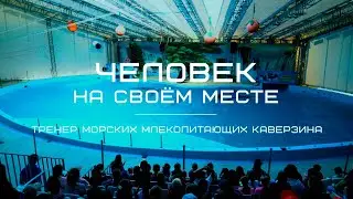 Как научить дельфина? Тренер морских млекопитающих Каверзина. Человек на своем месте