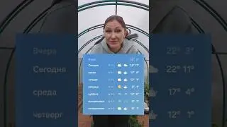 Как защитить растения и рассаду от весенних заморозков 