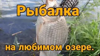 Рыбалка на любимом озере.