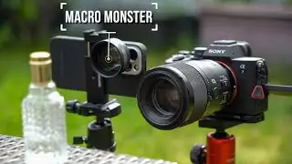 Best Macro shots - Iphone vs professional Camera - Sandmarc 100mm Macro Lens & Tripod