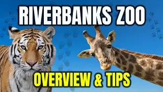 Riverbanks Zoo & Garden Overview & MUST - KNOW Tips! Columbia, South Carolina