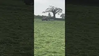 Tedding Grass for silage Massey Ferguson 