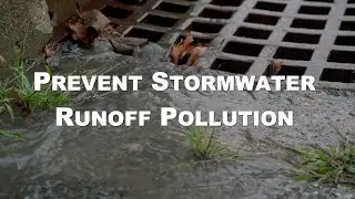 Stop Runoff Pollution Into Lake Champlain