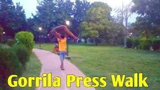 Lift Carry | Gorrila Press | OverHead Press Lift Carry