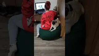 Тыловая охрана