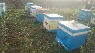 Утепление и вентиляция в ульях