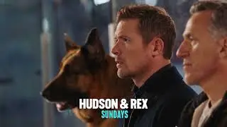 Hudson & Rex | Sundays This Fall