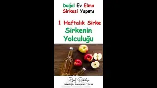 Bir Haftalık Sirke -Sirkenin Yolculuğu (Video 3)