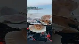 Приморье  -  это жемчужина Дальнего Востока. 🩵