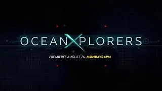 OceanXplorer  | Premiering on August 26, 6 PM | National Geographic