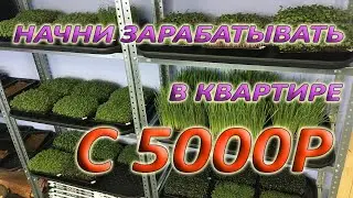 ВАЖНЫЙ Вебинар о Бизнесе на МИКРОЗЕЛЕНИ