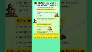 Что посадить на участке, чтобы отпугивать кротов.