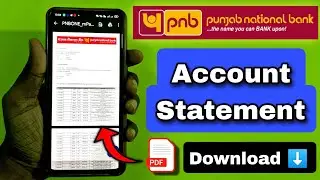 Punjab National Bank Account ka Statement kaise download kare | PNB Account Statement Download