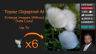 Topaz Gigapixel AI - Awesome Image Enlargement Tool!