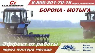 Борона  - мотыга ротационная "Агролюкс" работа по озимой пшенице эффект через полтора месяца