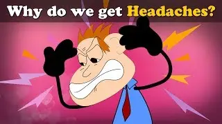Why do we get Headaches? + more videos | 